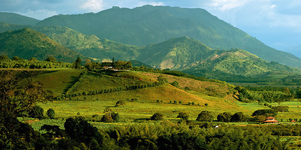 Hacienda Bambusa El Caimo Екстериор снимка